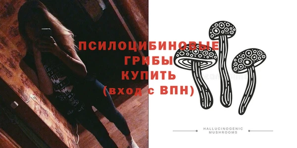 спиды Арсеньев