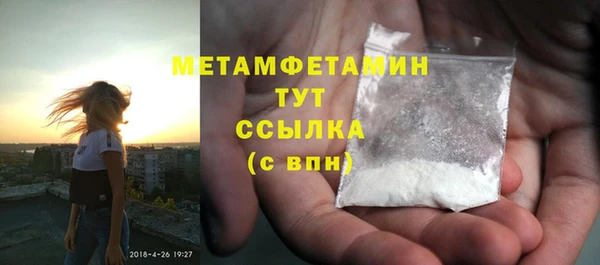 прущие грибы Ладушкин