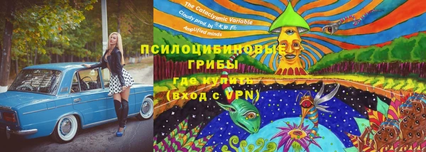 спиды Арсеньев