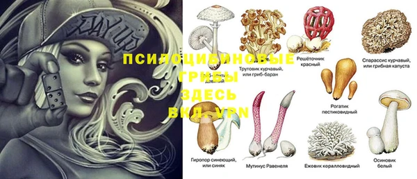 Альфа ПВП Алексеевка