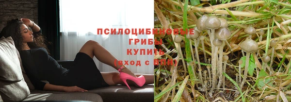 спиды Арсеньев