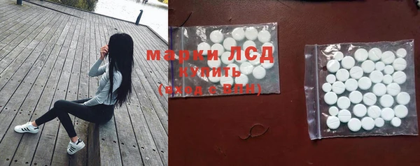 спиды Арсеньев
