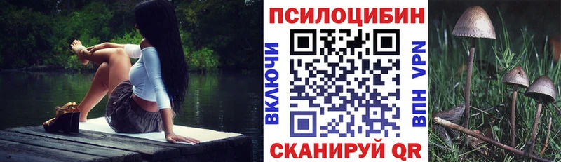 наркотики  Электрогорск  Псилоцибиновые грибы Psilocybine cubensis 