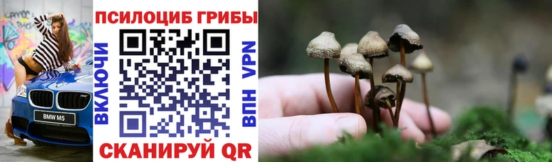 Галлюциногенные грибы Psilocybine cubensis Электрогорск
